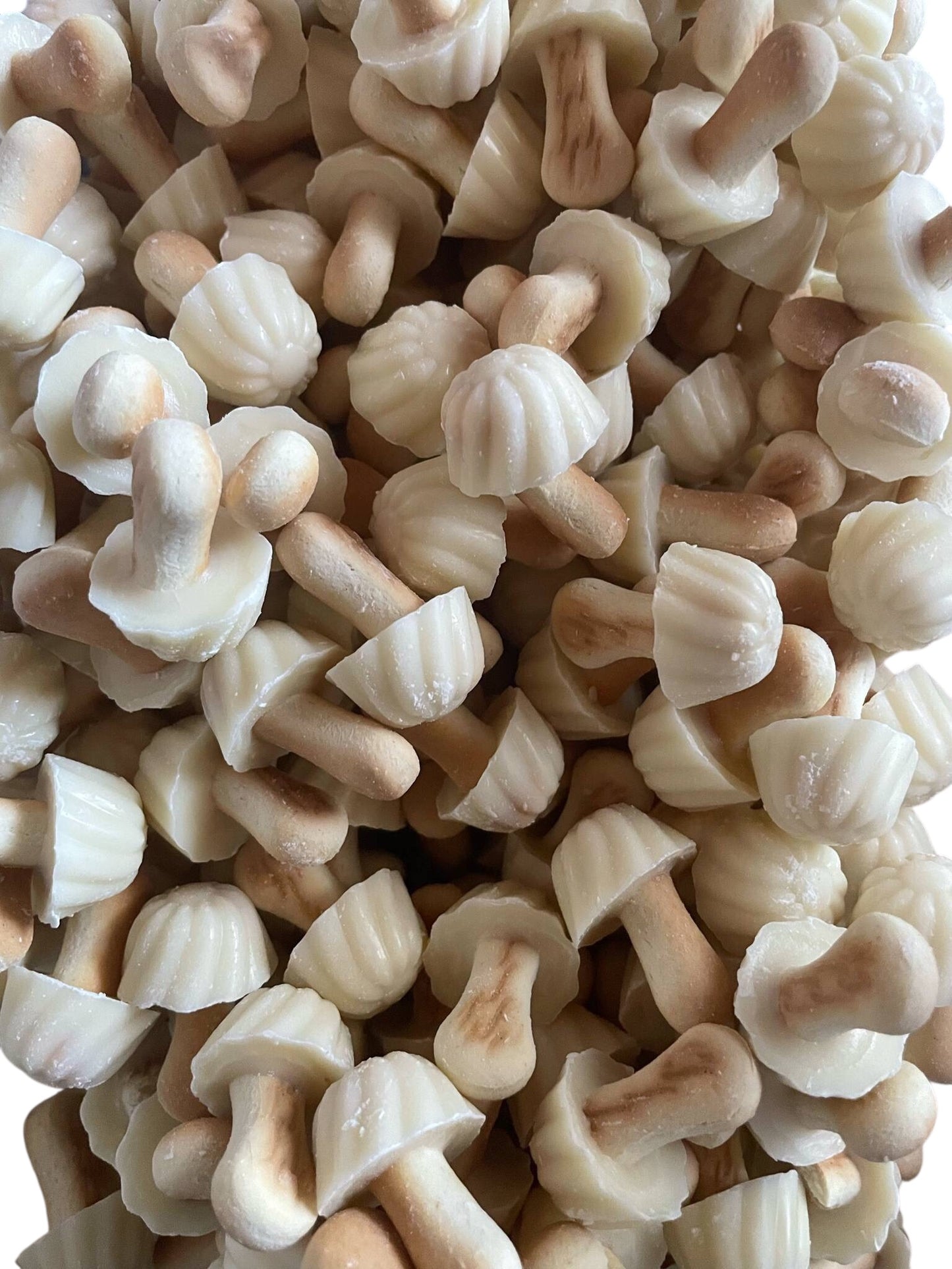 Champignons chocolat blanc ou chocolat noir x10