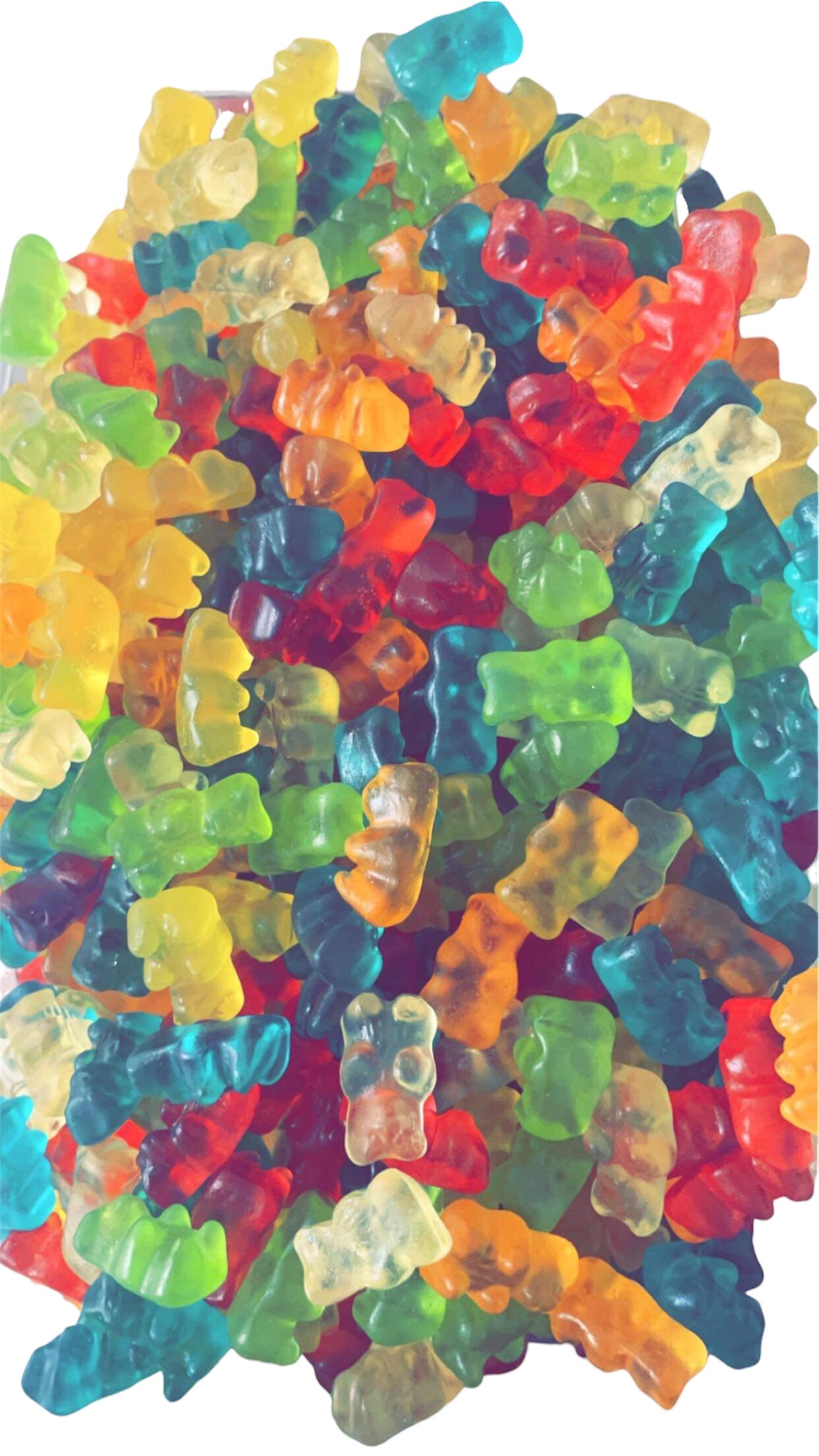 Petit ourson (100gr) 🐻❄️