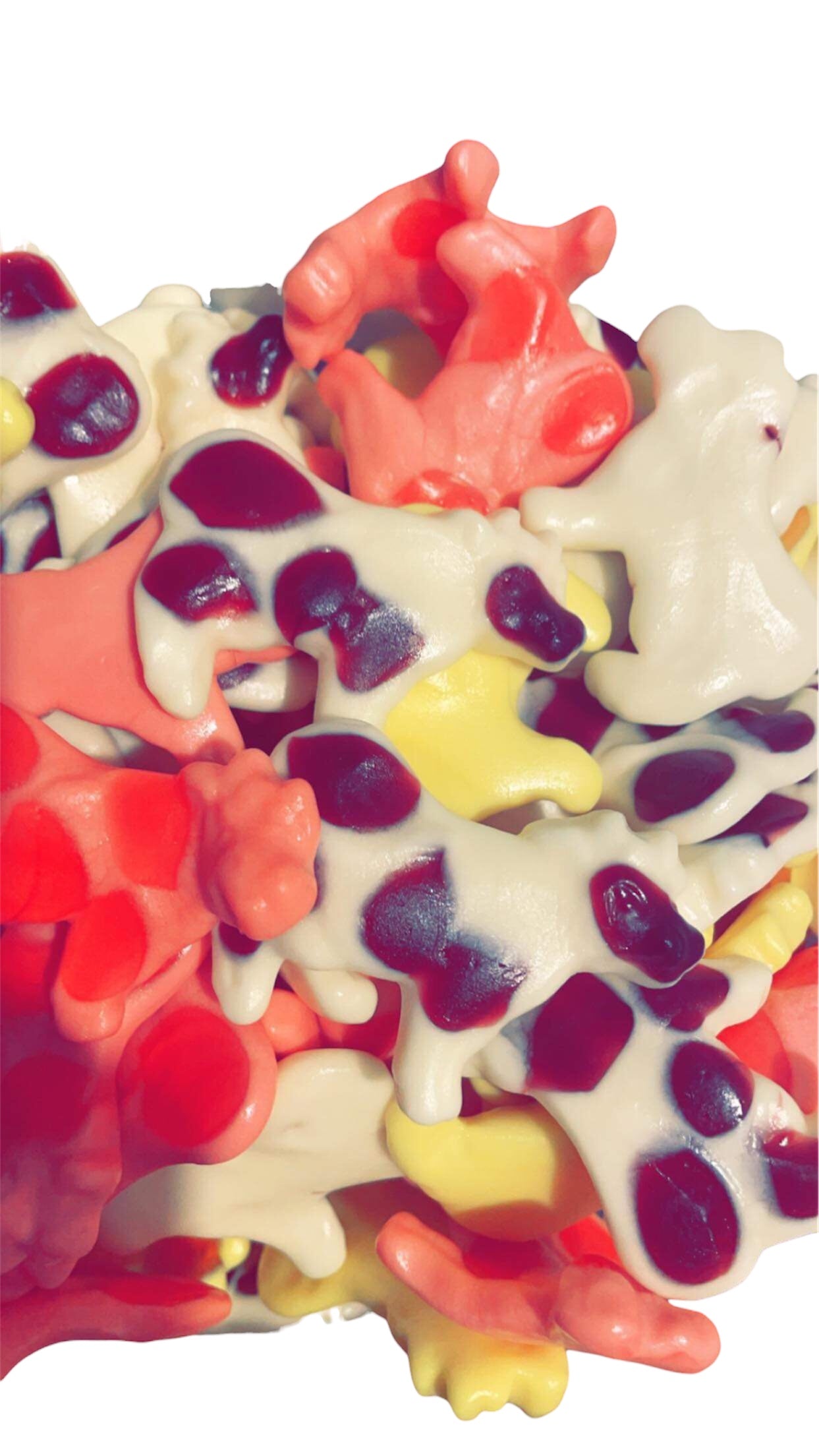 Vache au lait (100gr)